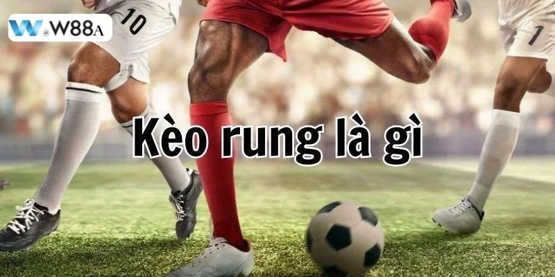 Cách chơi kèo rung được rất nhiều cược thủ quan tâm tìm hiểu. 