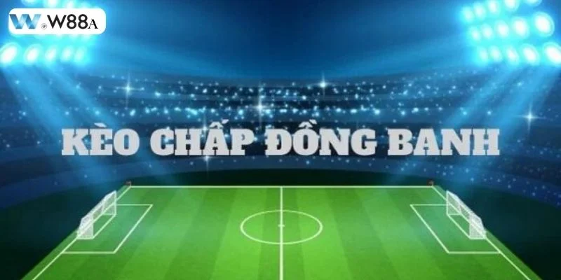 Nhiều loại tỷ lệ phụ khác cho hội viên lựa chọn.