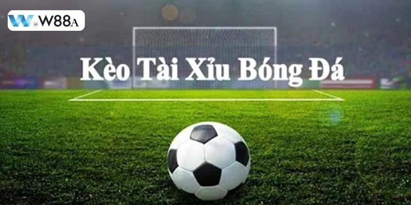 Phân Tích Tài Xỉu: Kiến Thức Cược Cơ Bản Từ W88 2 Kèo cá độ tài xỉu được nhiều tay chơi yêu thích, lựa chọn để cá cược.